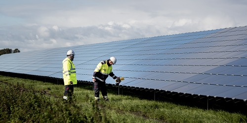 Employees in solar park